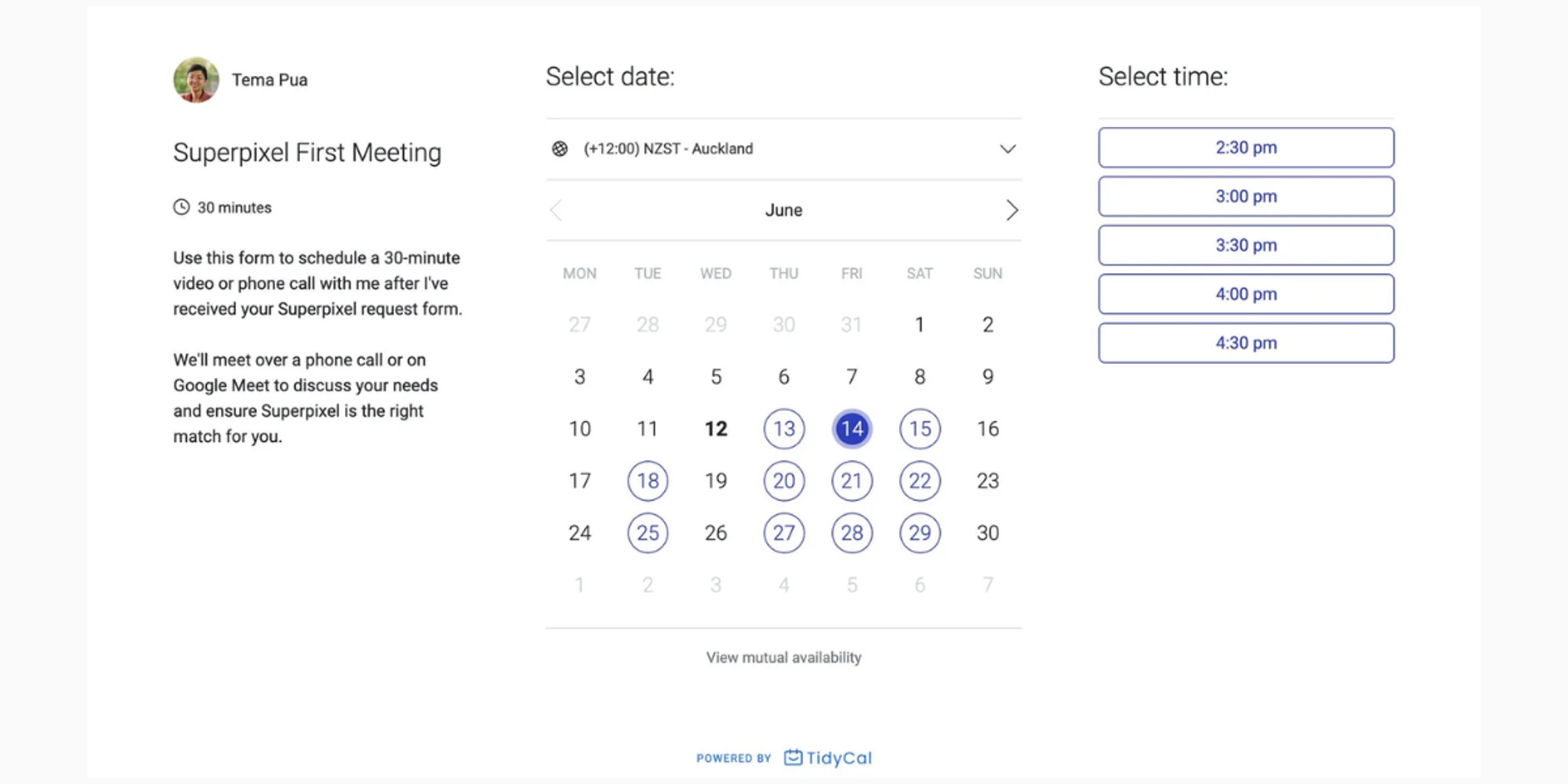 Example of Tidycal scheduling tool UI