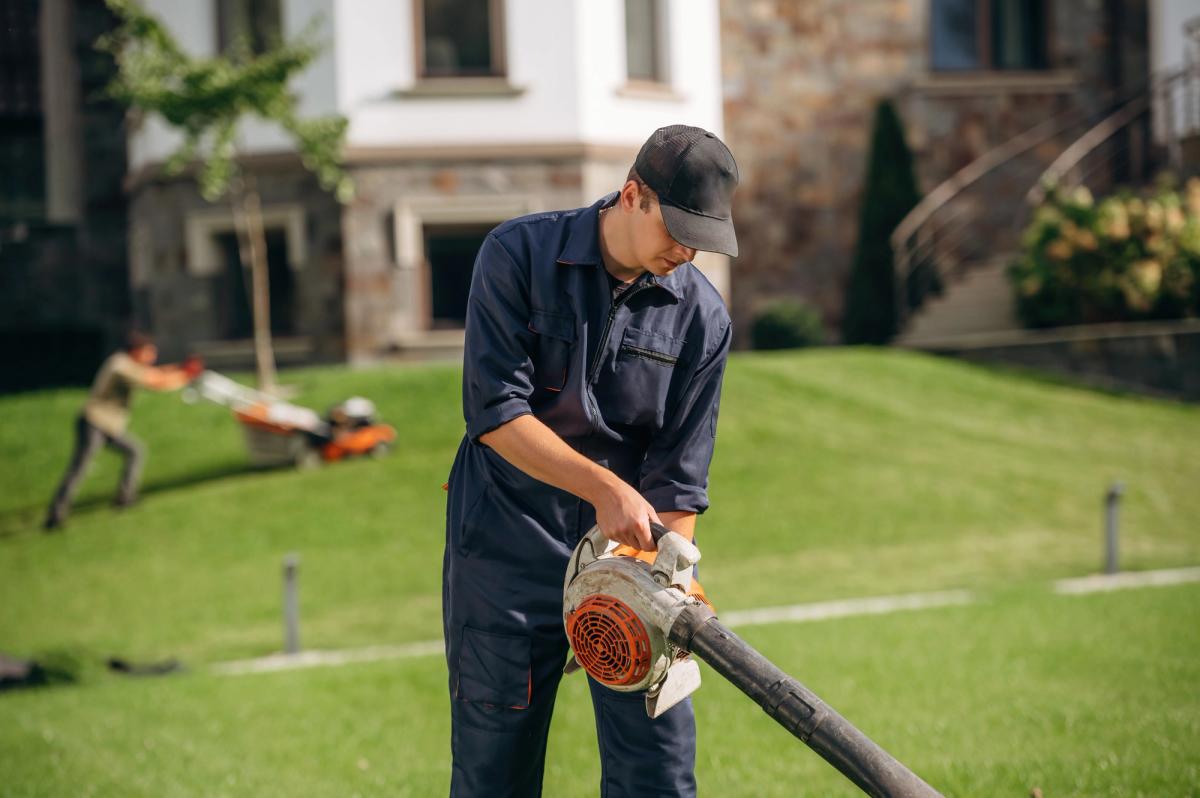 Example of photo used in landscaping company website