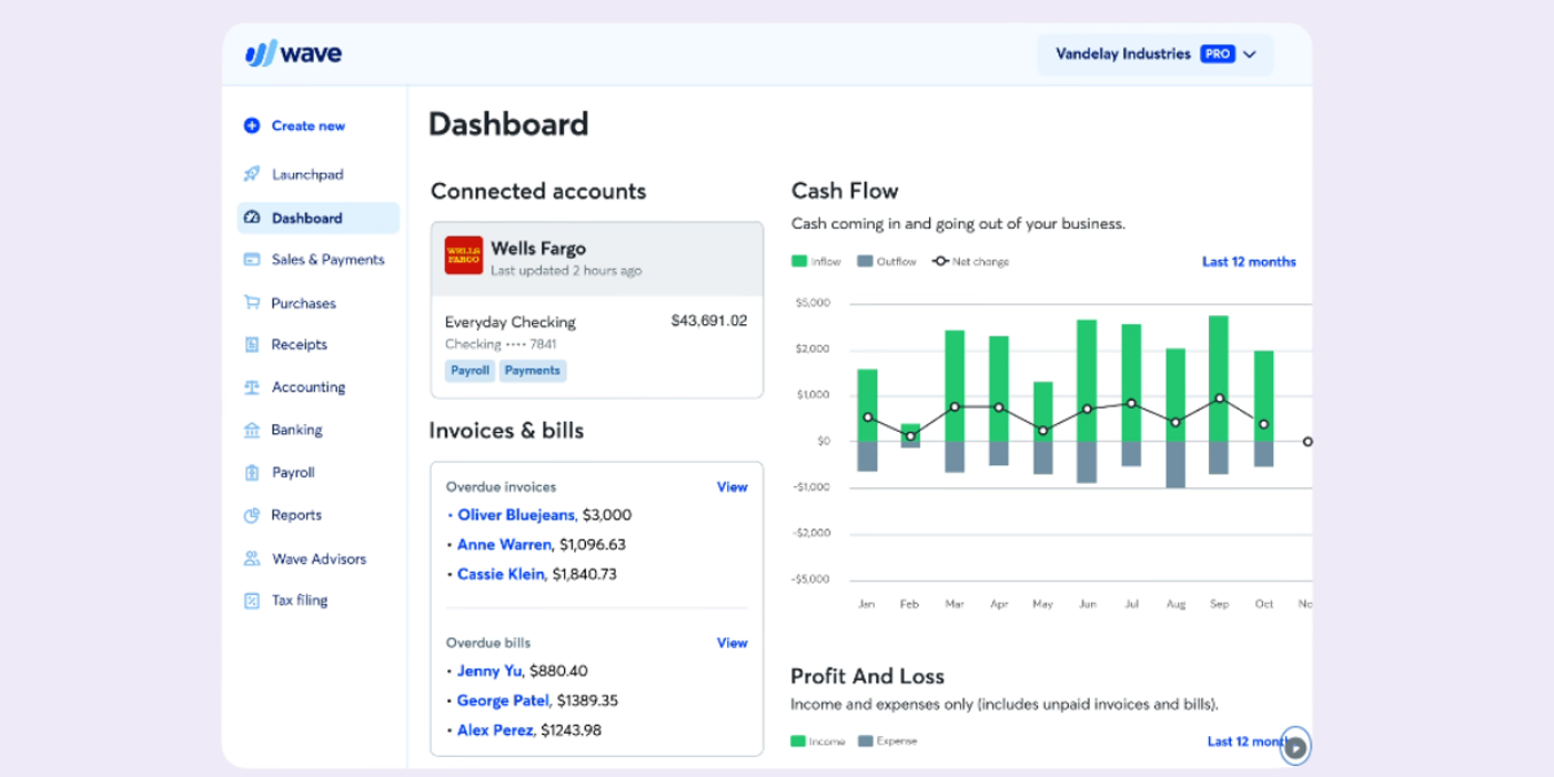 screenshoot wave accounting software