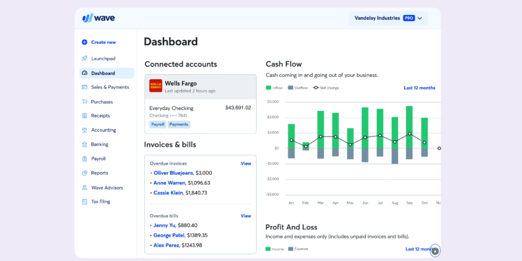 screenshoot wave accounting software