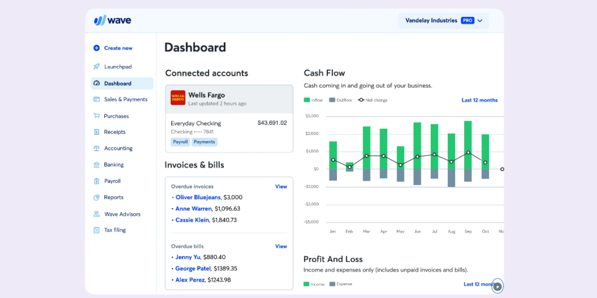 screenshoot wave accounting software