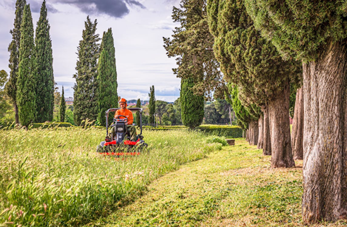 A lawn care specialist cutting grass on a ride-on lawnmower