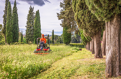 A lawn care specialist cutting grass on a ride-on lawnmower