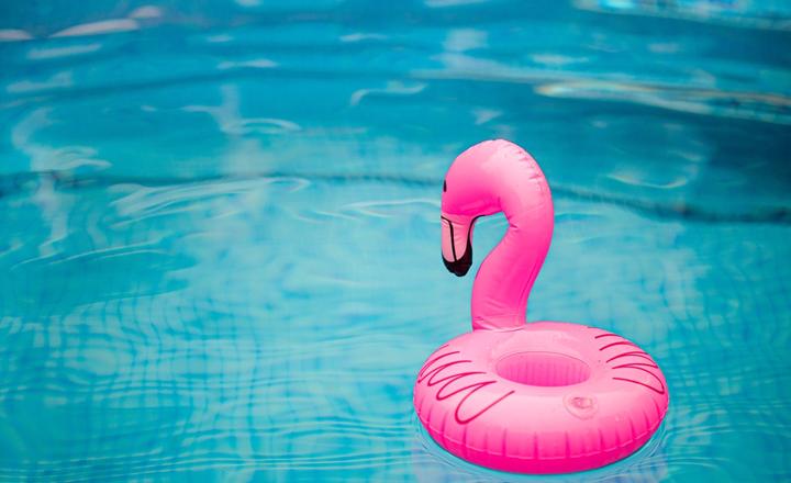 Pink flamingo inflatable floating in a swimming pool