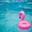 Pink flamingo inflatable floating in a swimming pool
