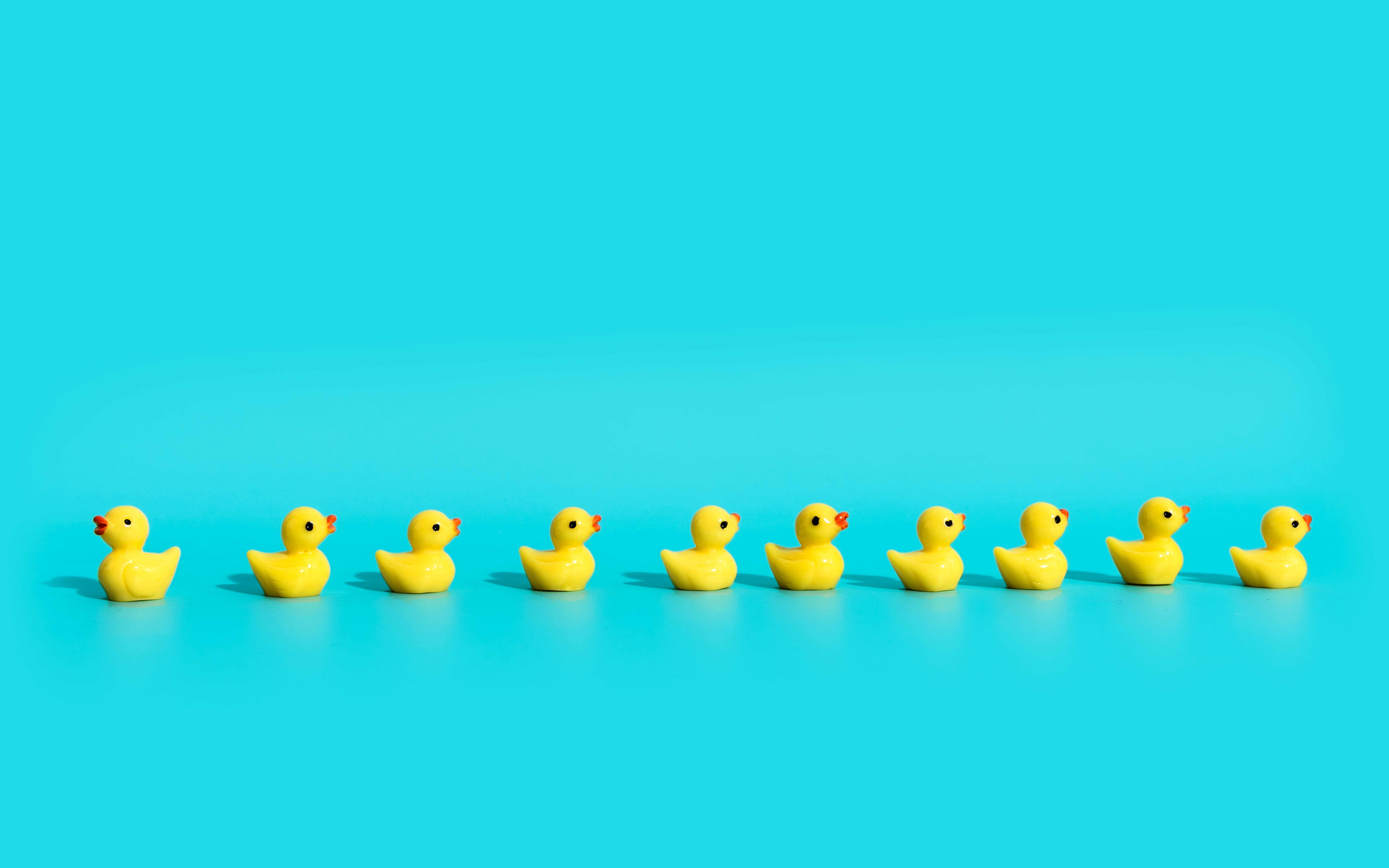 Ten small yellow rubber ducks in a row