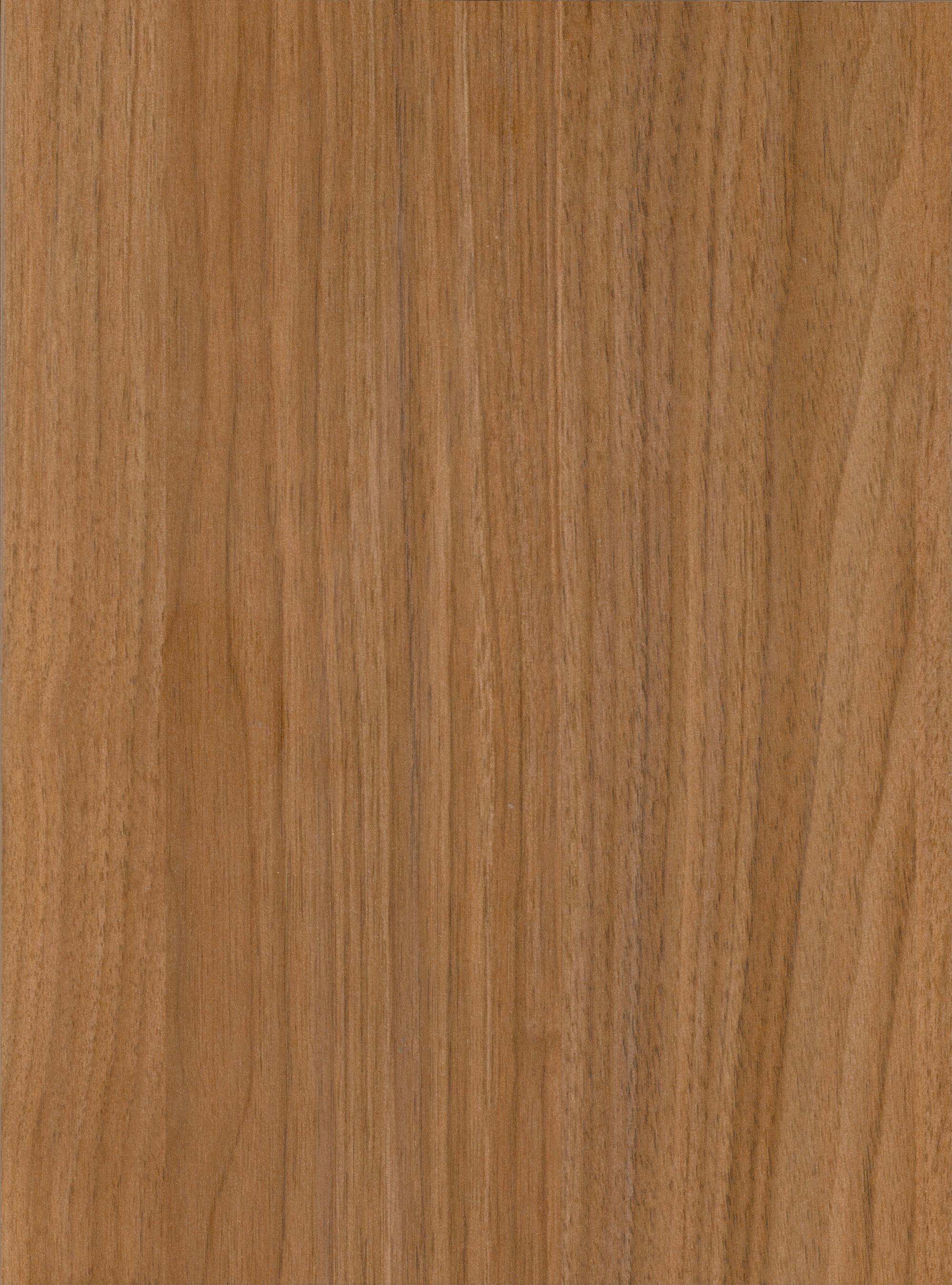 Roma — full-width view