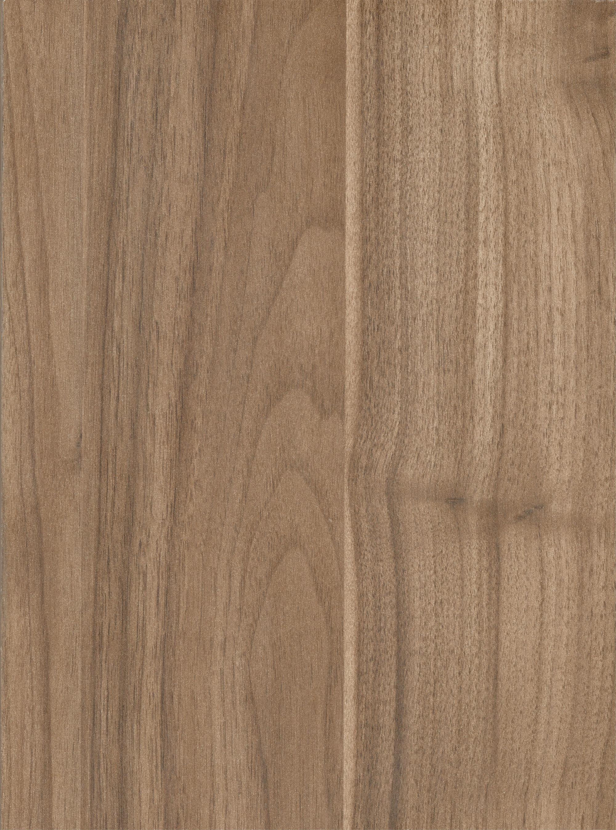 Siena — full-width view