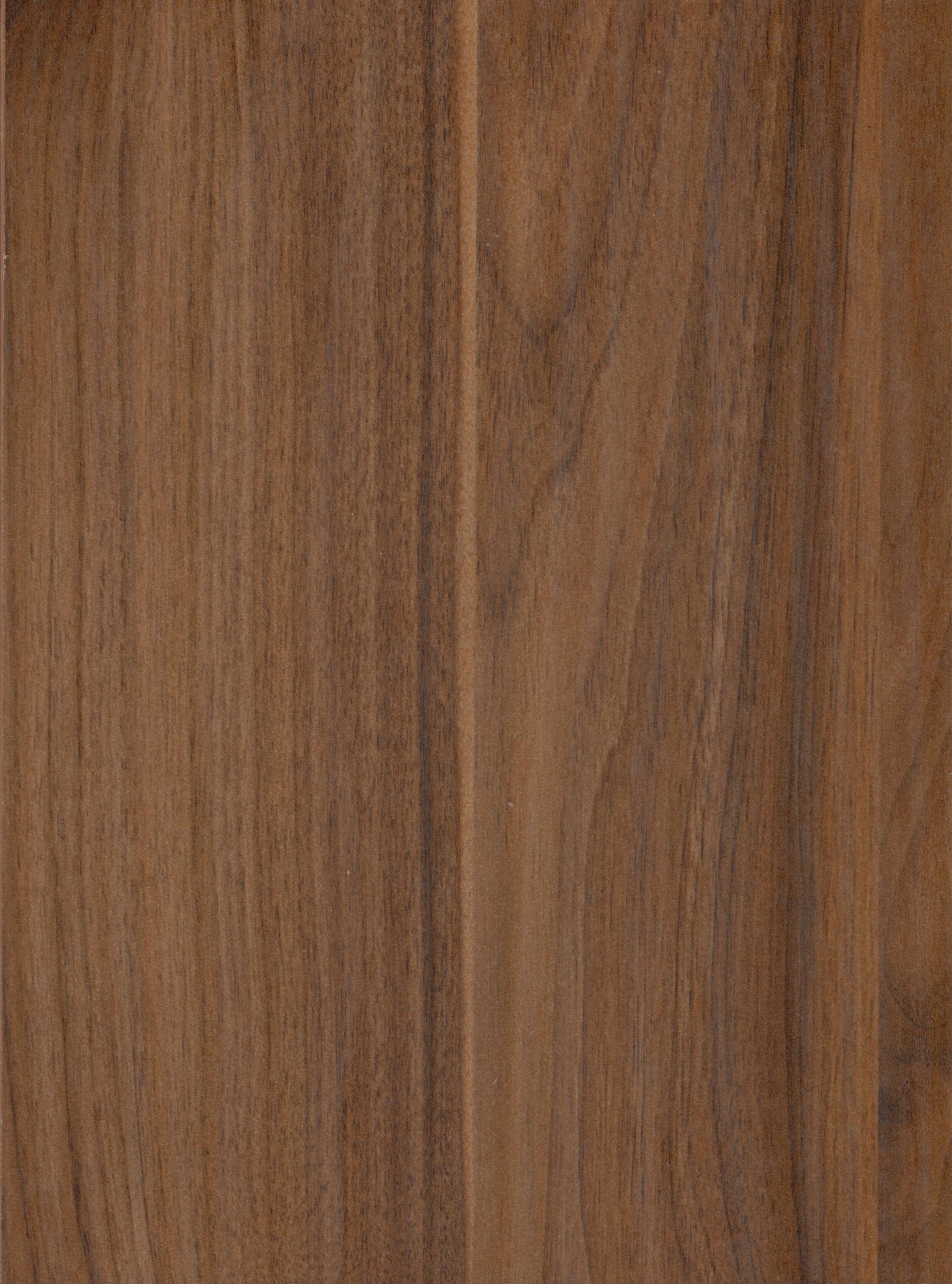 Bologna — full-width view