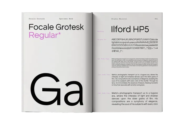 Focale Grotesk - Font (5/13) — for Leo Matiz foundation — Web Design,Website,Typography — by Alexis Oulès — Brand & UX/UI Designer