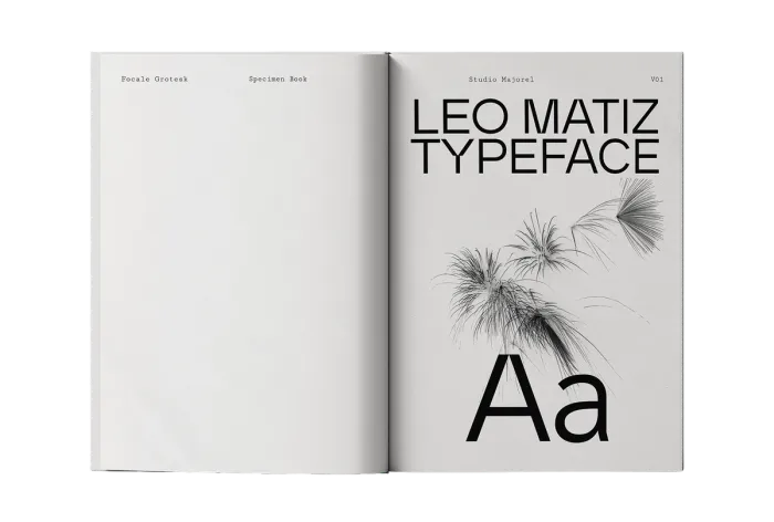Focale Grotesk - Font (3/13) — for Leo Matiz foundation — Web Design,Website,Typography — by Alexis Oulès — Brand & UX/UI Designer