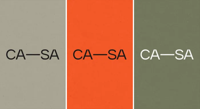 The same logo has to hold on a light ground, a flat orange, and a deep green — without ever losing legibility. That decision gets made before the drawing, not after.