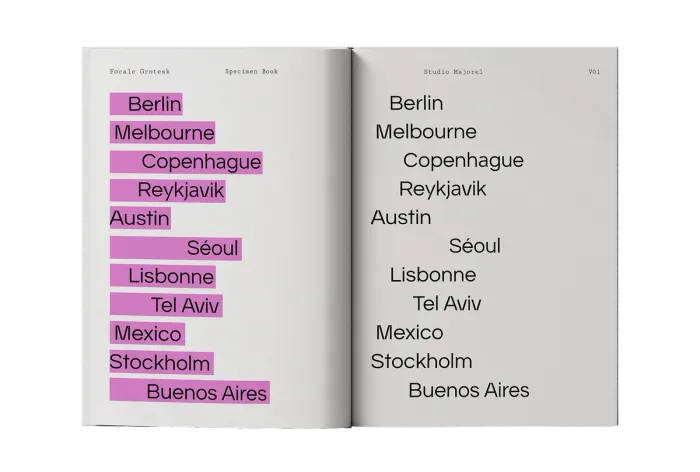 Focale Grotesk - Font (6/13) — for Leo Matiz foundation — Web Design,Website,Typography — by Alexis Oulès — Brand & UX/UI Designer