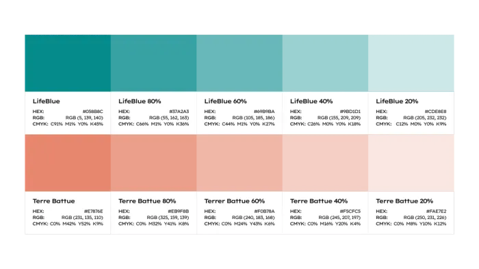 The Life Club palette: every tone fixed in HEX, RGB and CMYK, with its tints. This document is what keeps the brand identical ten years from now, across ten different hands.