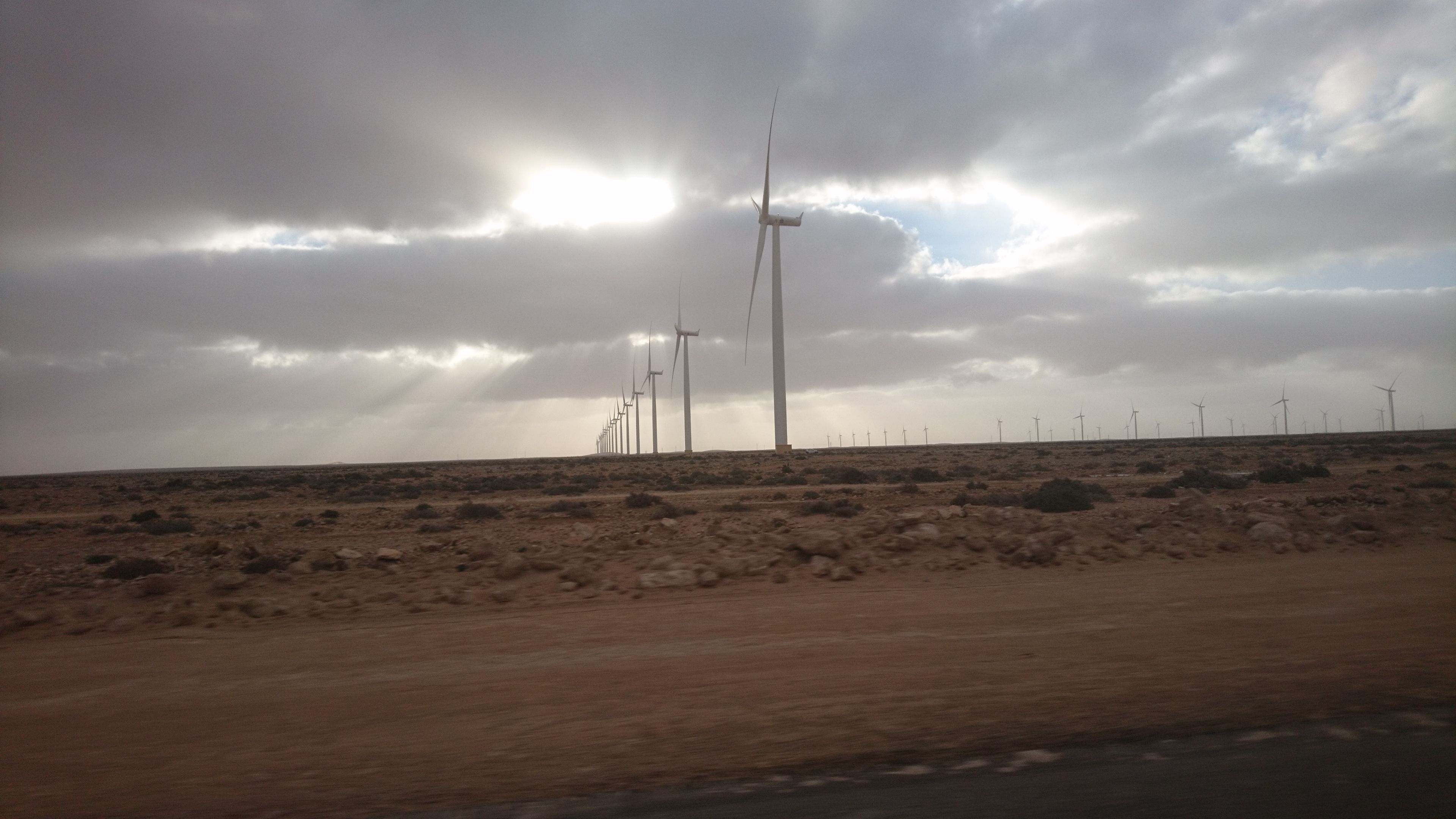 Wind turbines stretching across the desert plain near Tarfaya