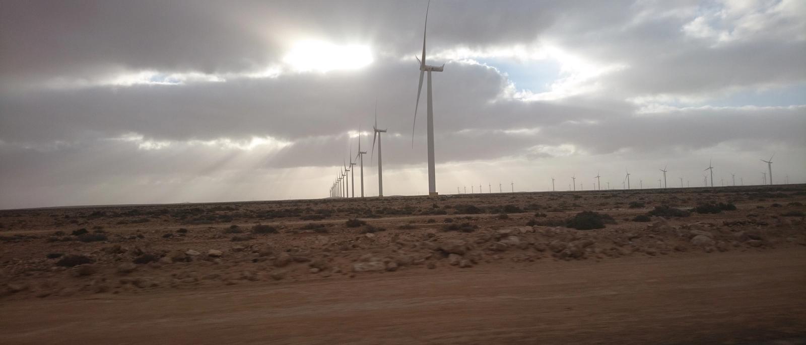 Wind turbines stretching across the desert plain near Tarfaya