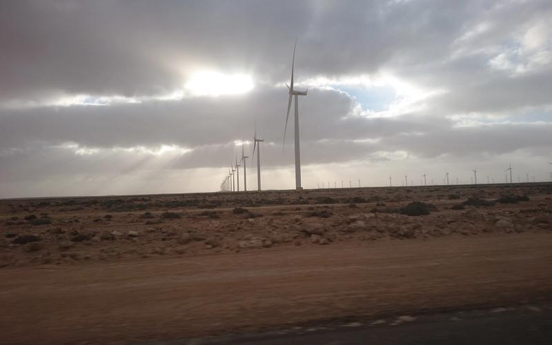 Wind turbines stretching across the desert plain near Tarfaya