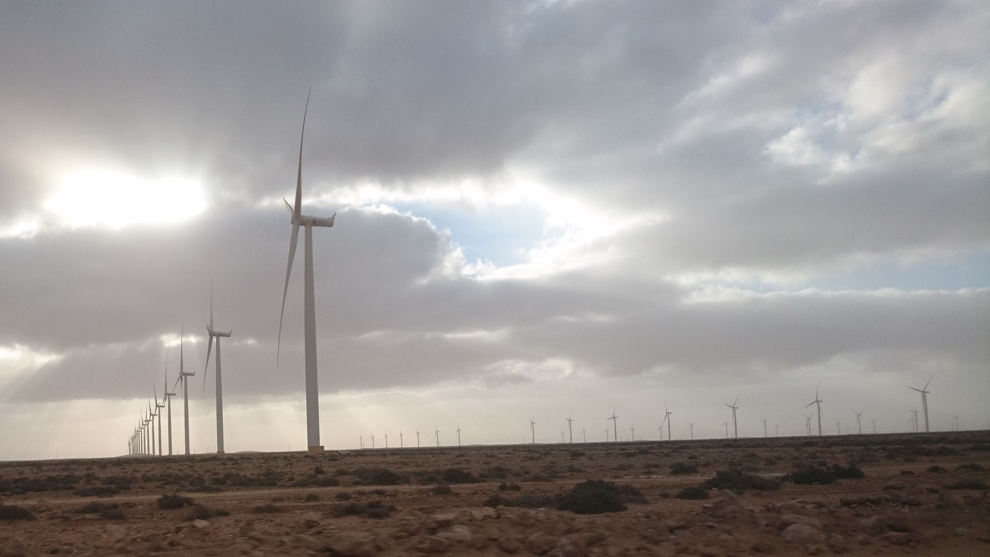 Rows of wind turbines on the plain near Tarfaya under a cloudy sky