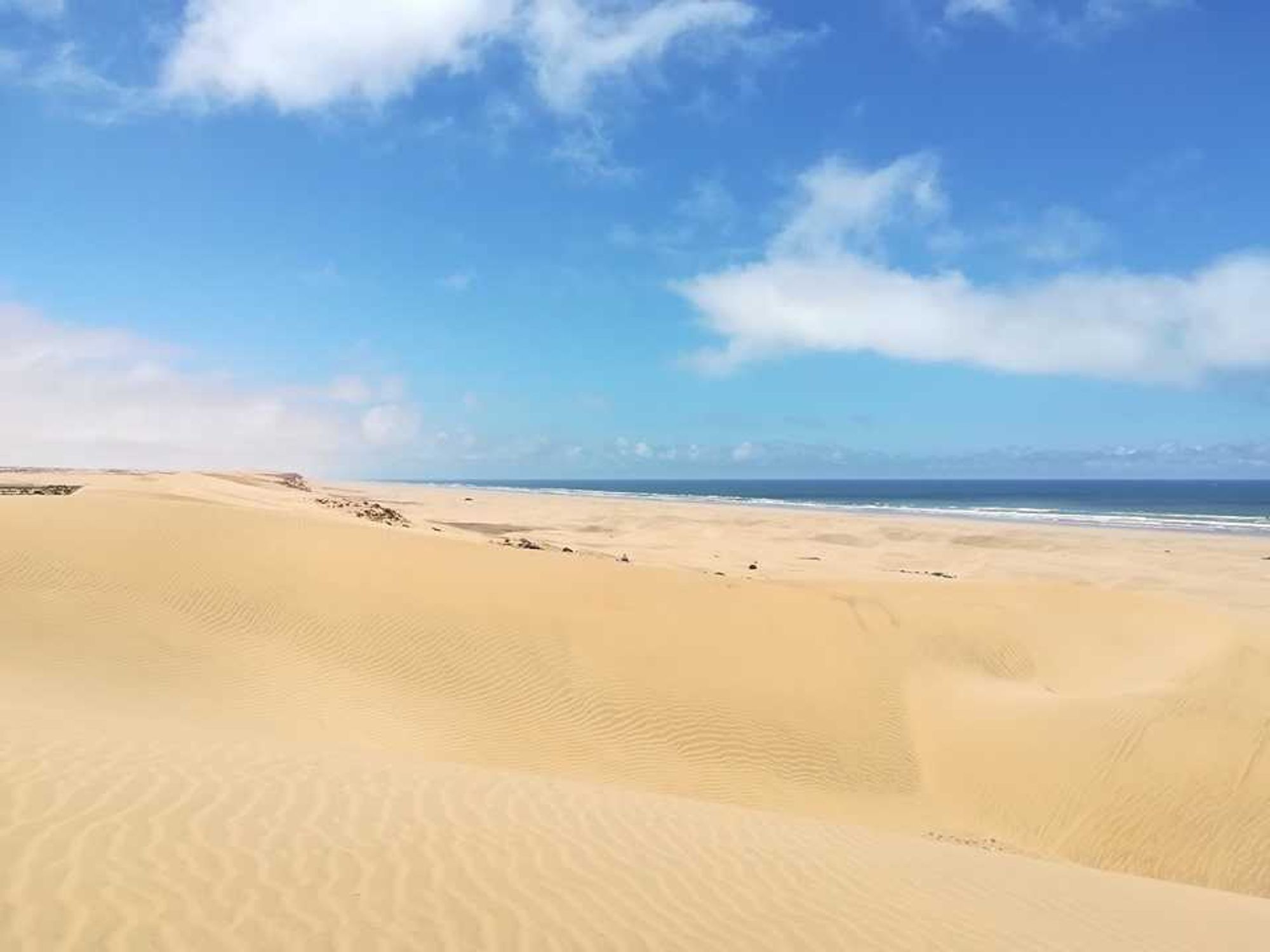 Sand dunes running down to the Atlantic in the Guelmim region