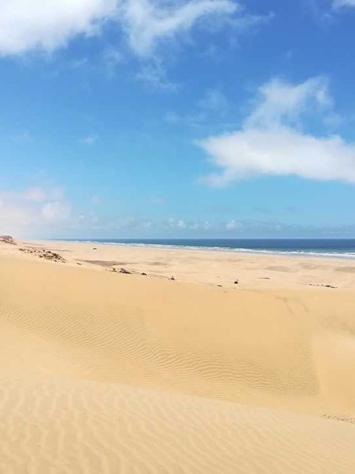 Sand dunes running down to the Atlantic in the Guelmim region