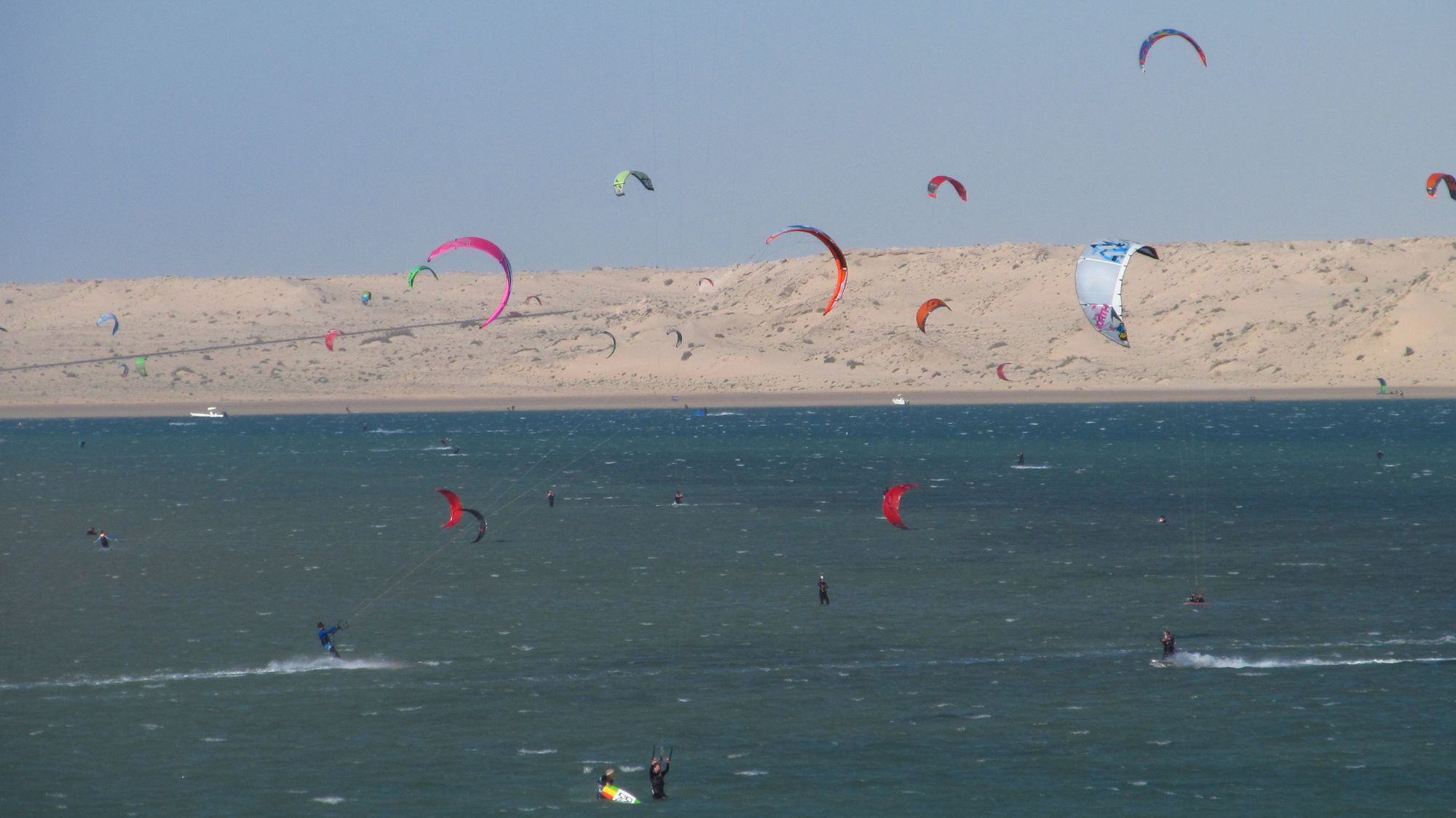 Dozens of kites over the Dakhla lagoon, with pale dunes on the far shore