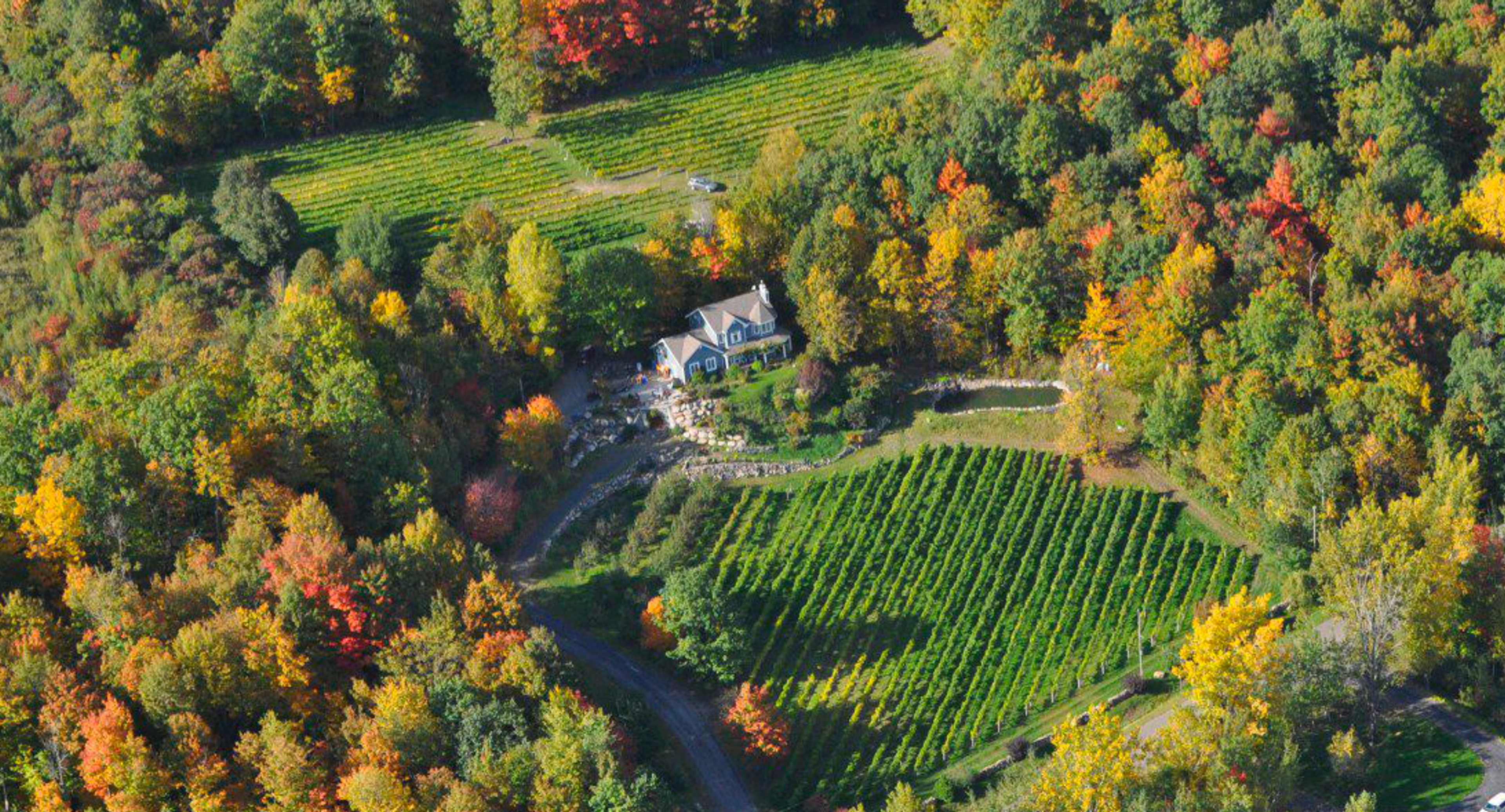 Vineyards and cider houses