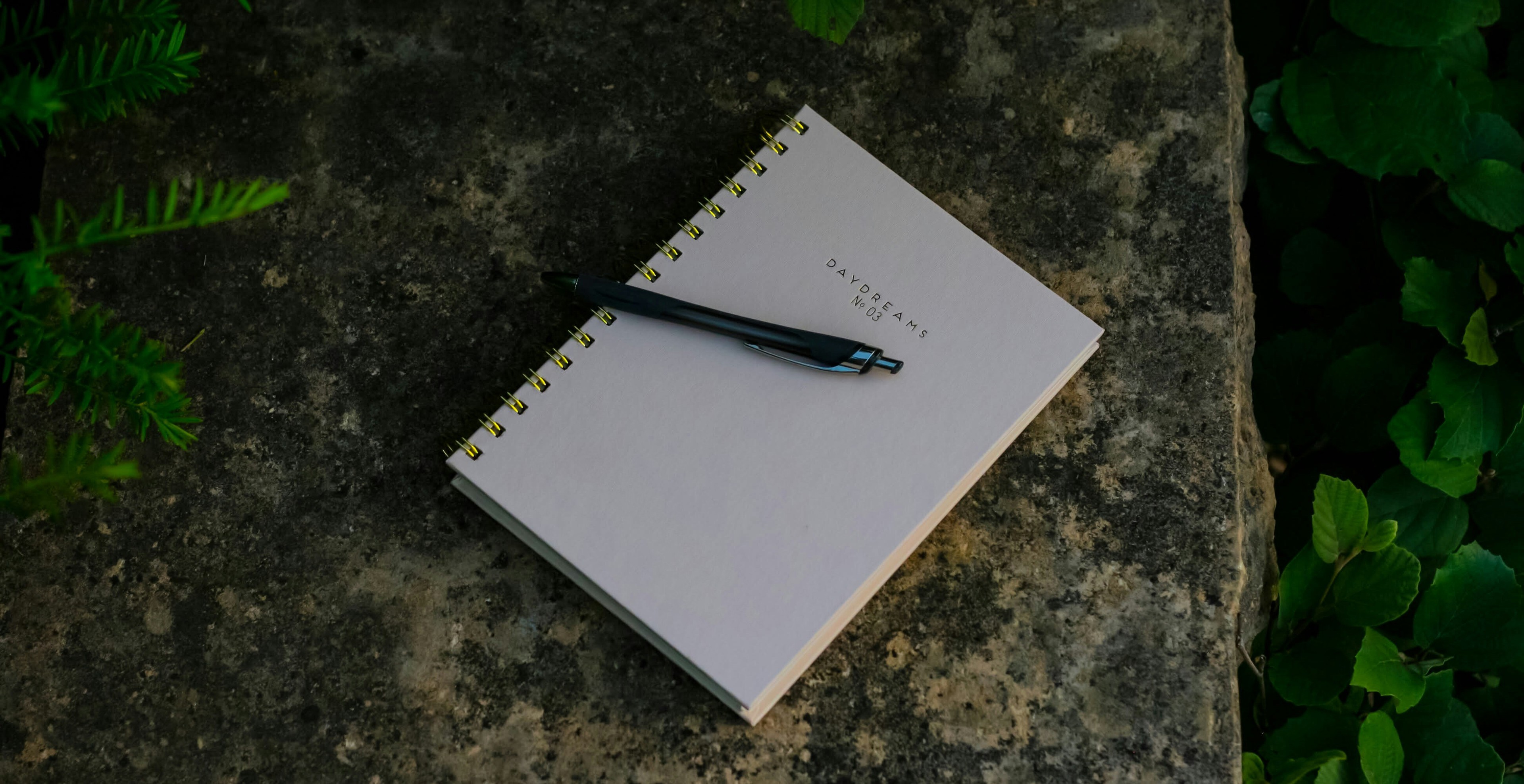 écriture journaling développement personnel