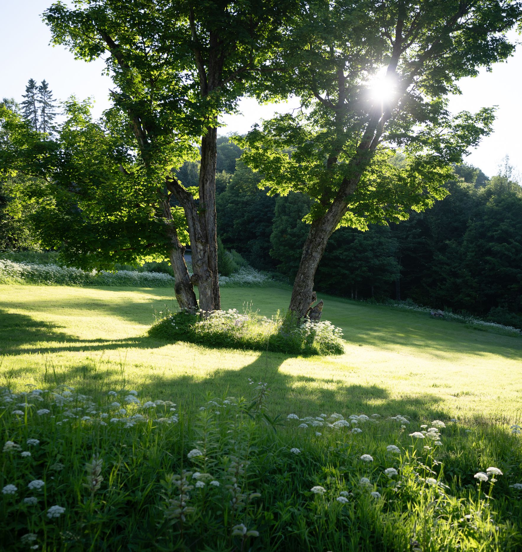 les escaliers et fauteuils emblématiques du Manoir Davis