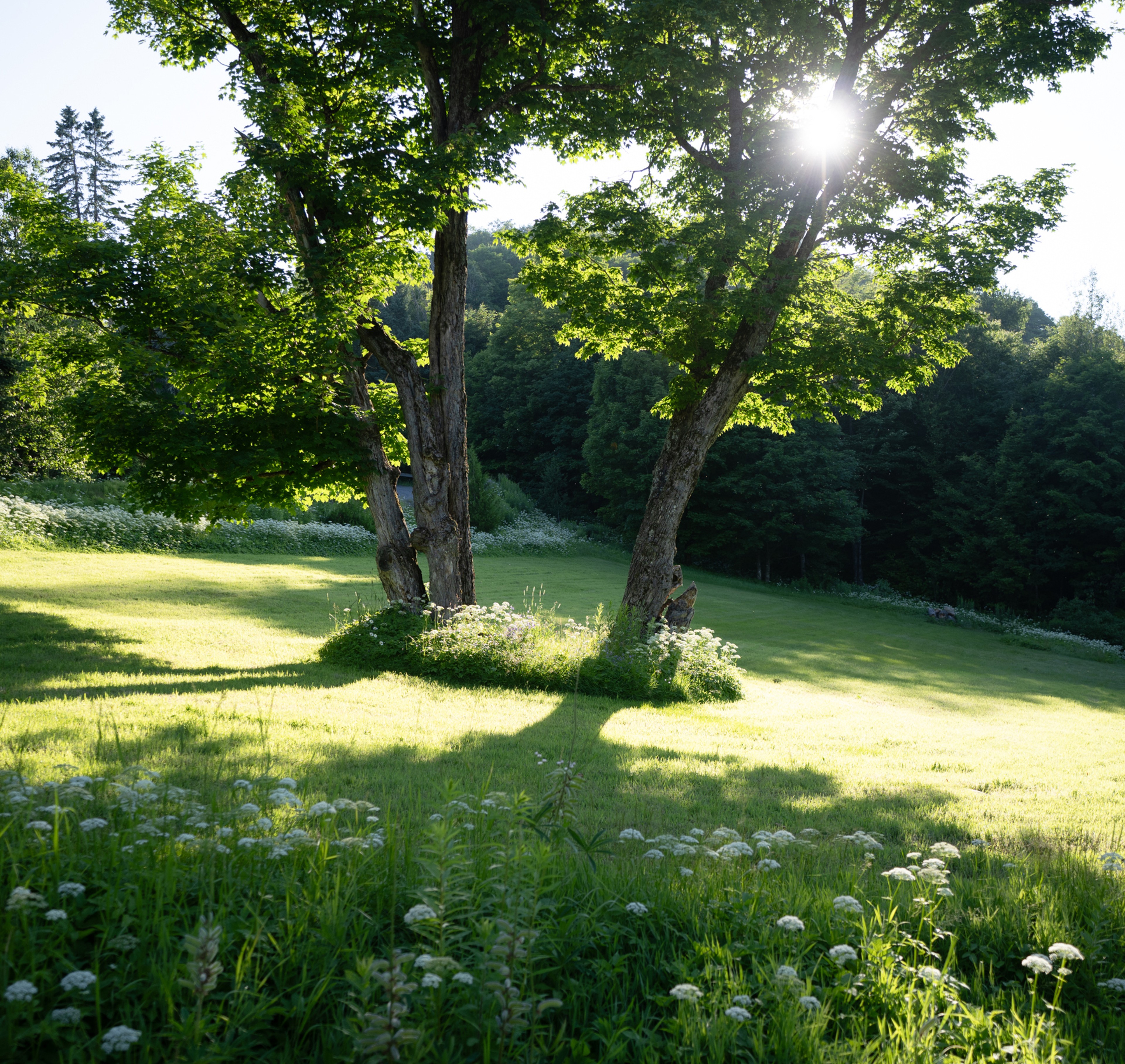 les escaliers et fauteuils emblématiques du Manoir Davis