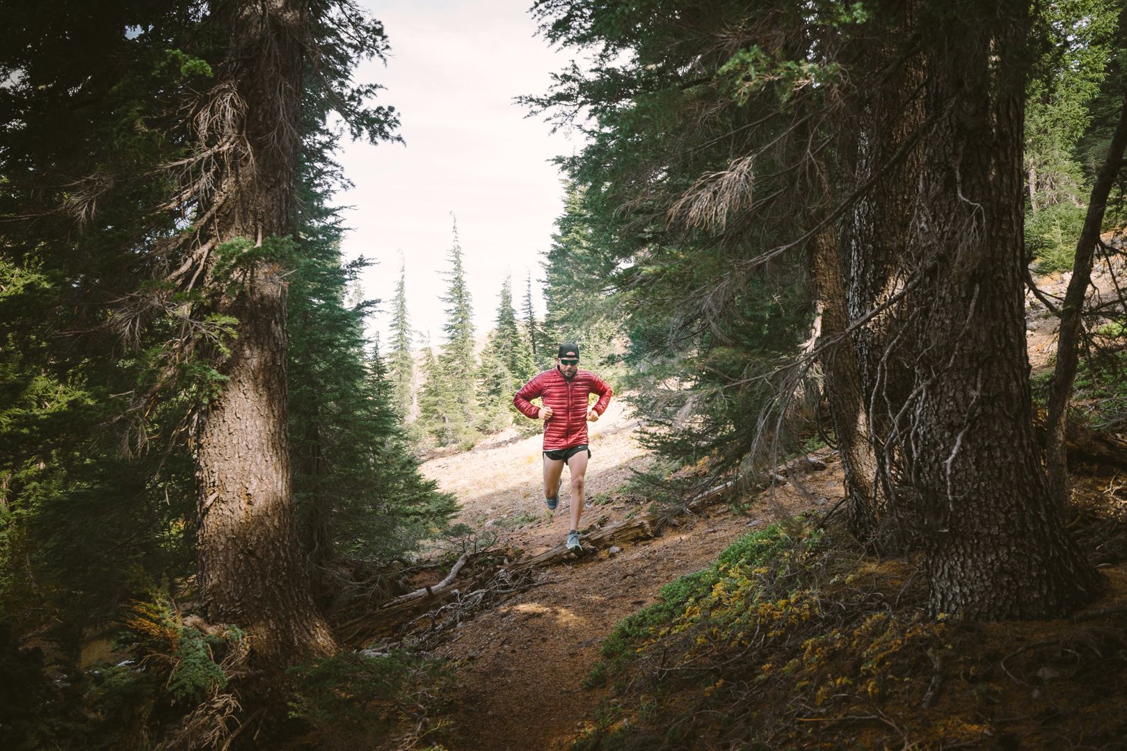 Tillak Finding Balance with Jeff Maclellan