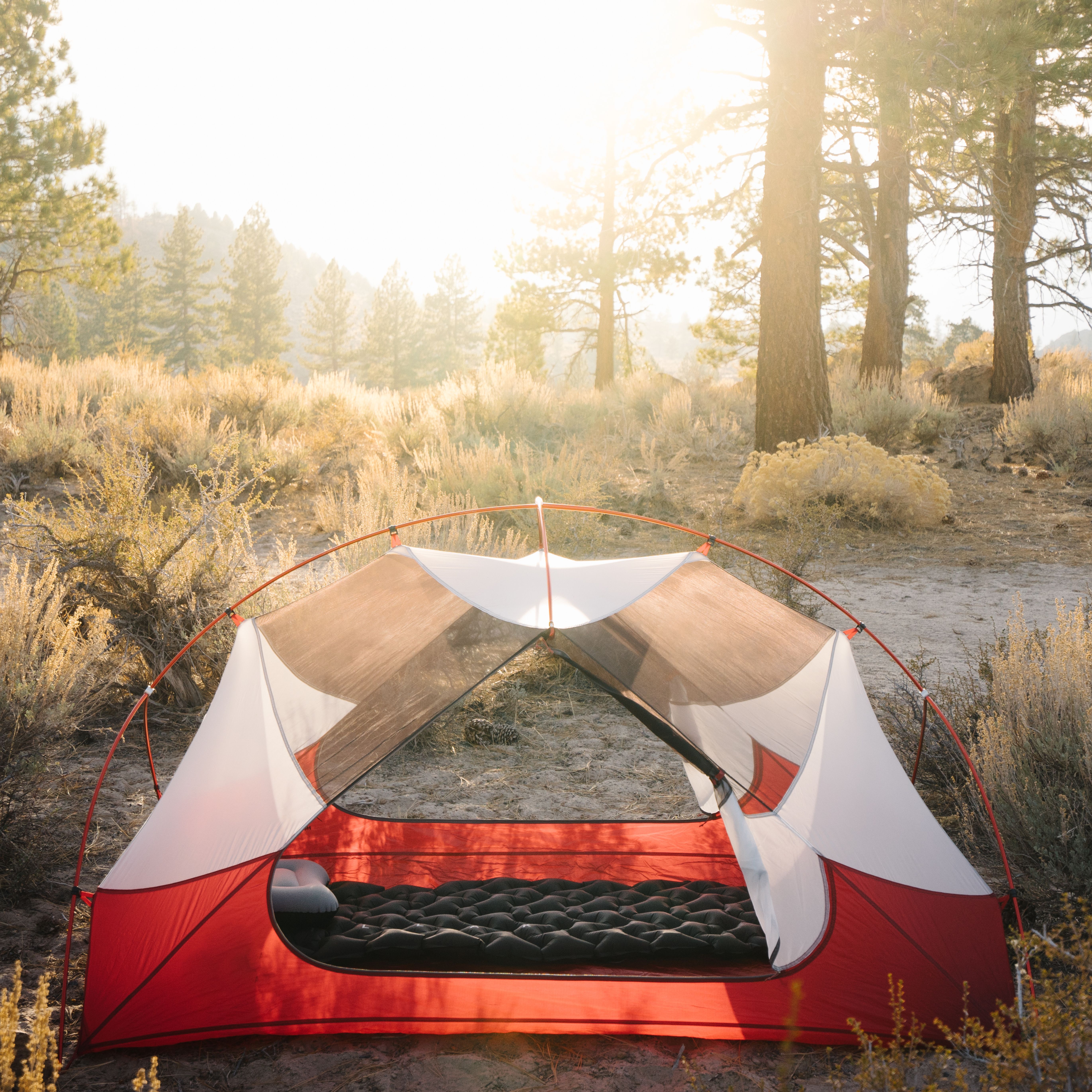 Tillak Bubo Inflatable Pillow