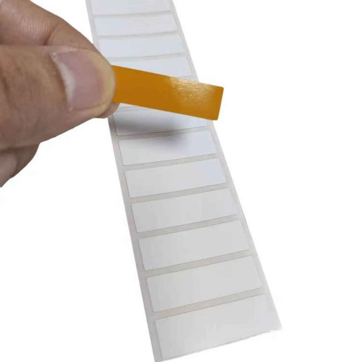 Thermal Transfer Polyester Labels
