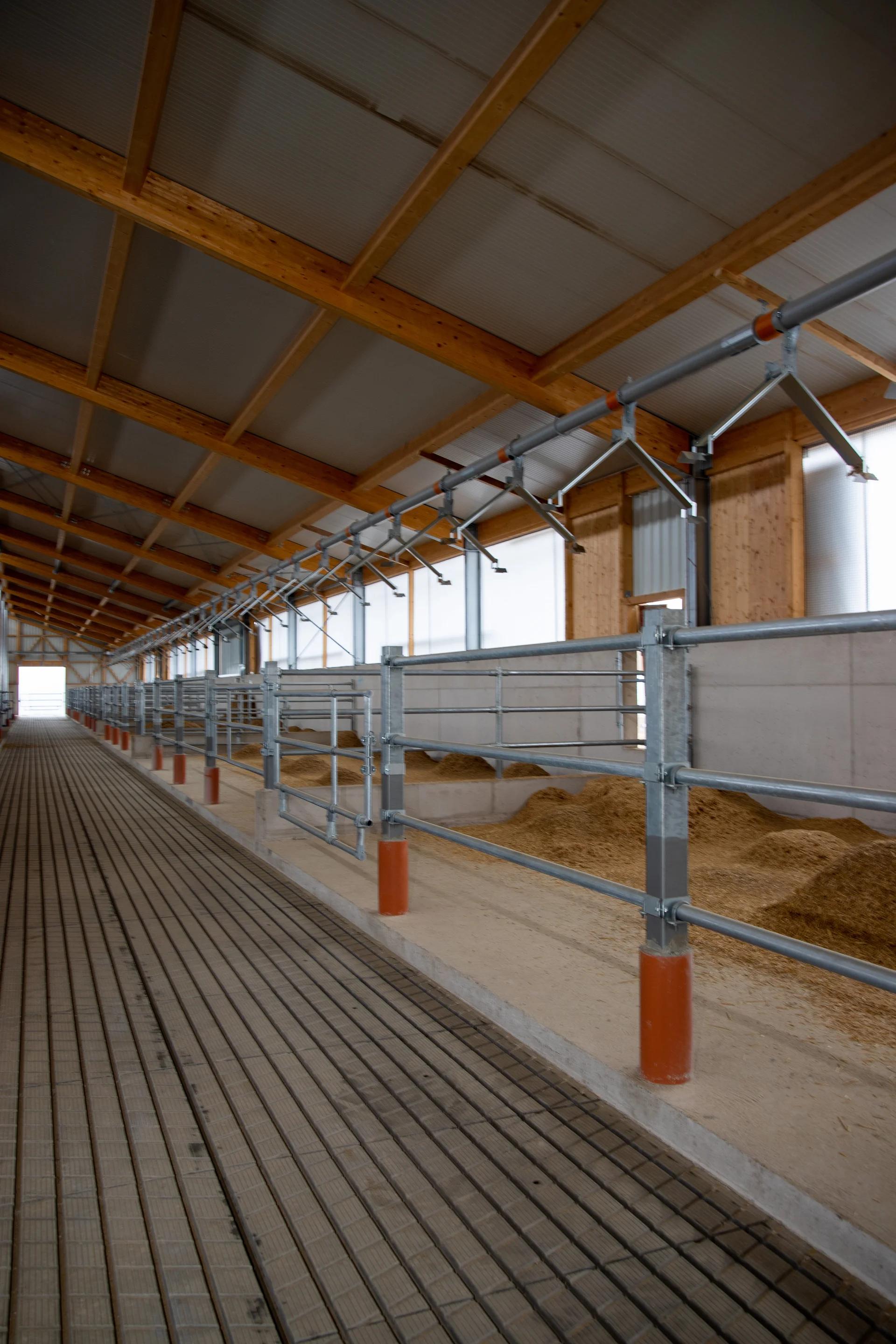 Bullenstall Wachfeld — Detailansicht Holzdach und Metallgitter