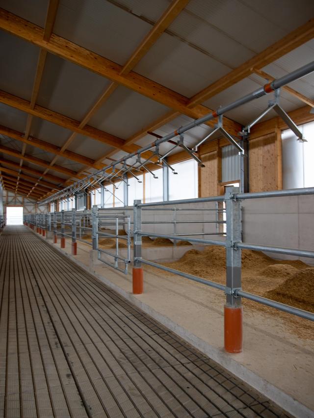 Bullenstall Wachfeld — Detailansicht Holzdach und Metallgitter