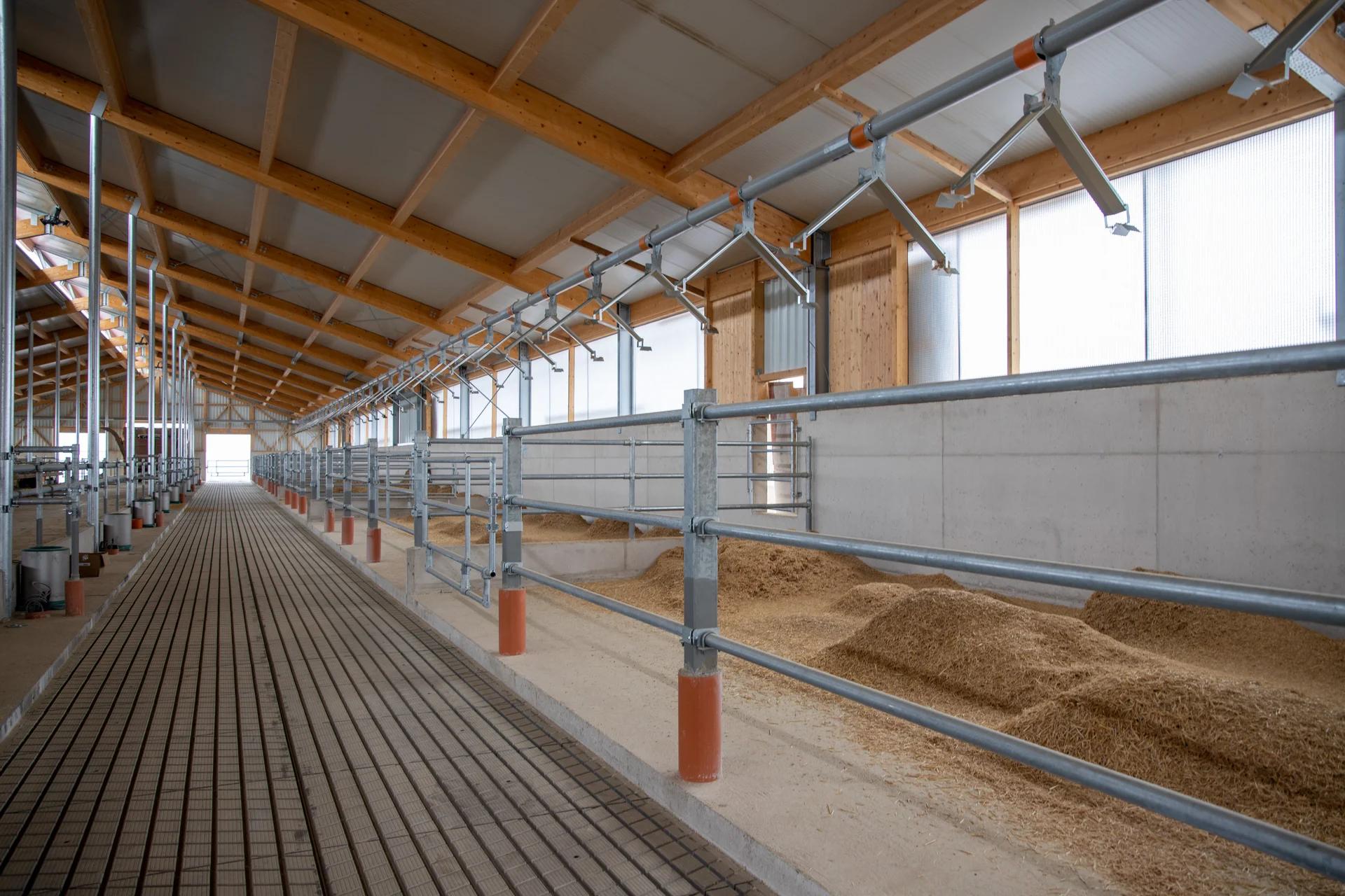Bullenstall Wachfeld — Stallgebäude mit Holzdach und Metallgittern