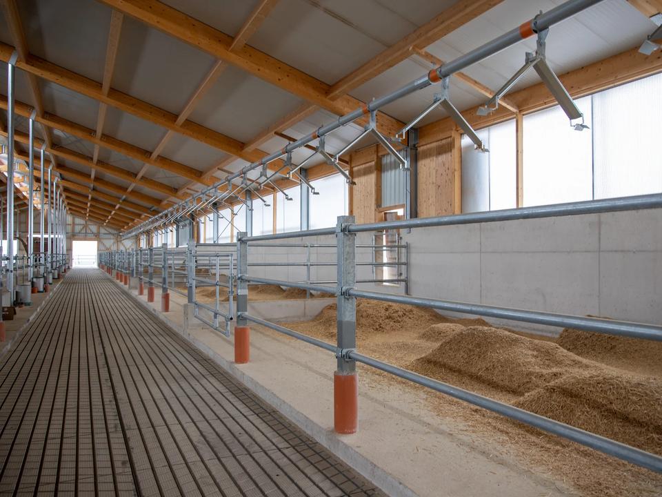 Bullenstall Wachfeld — Stallgebäude mit Holzdach und Metallgittern
