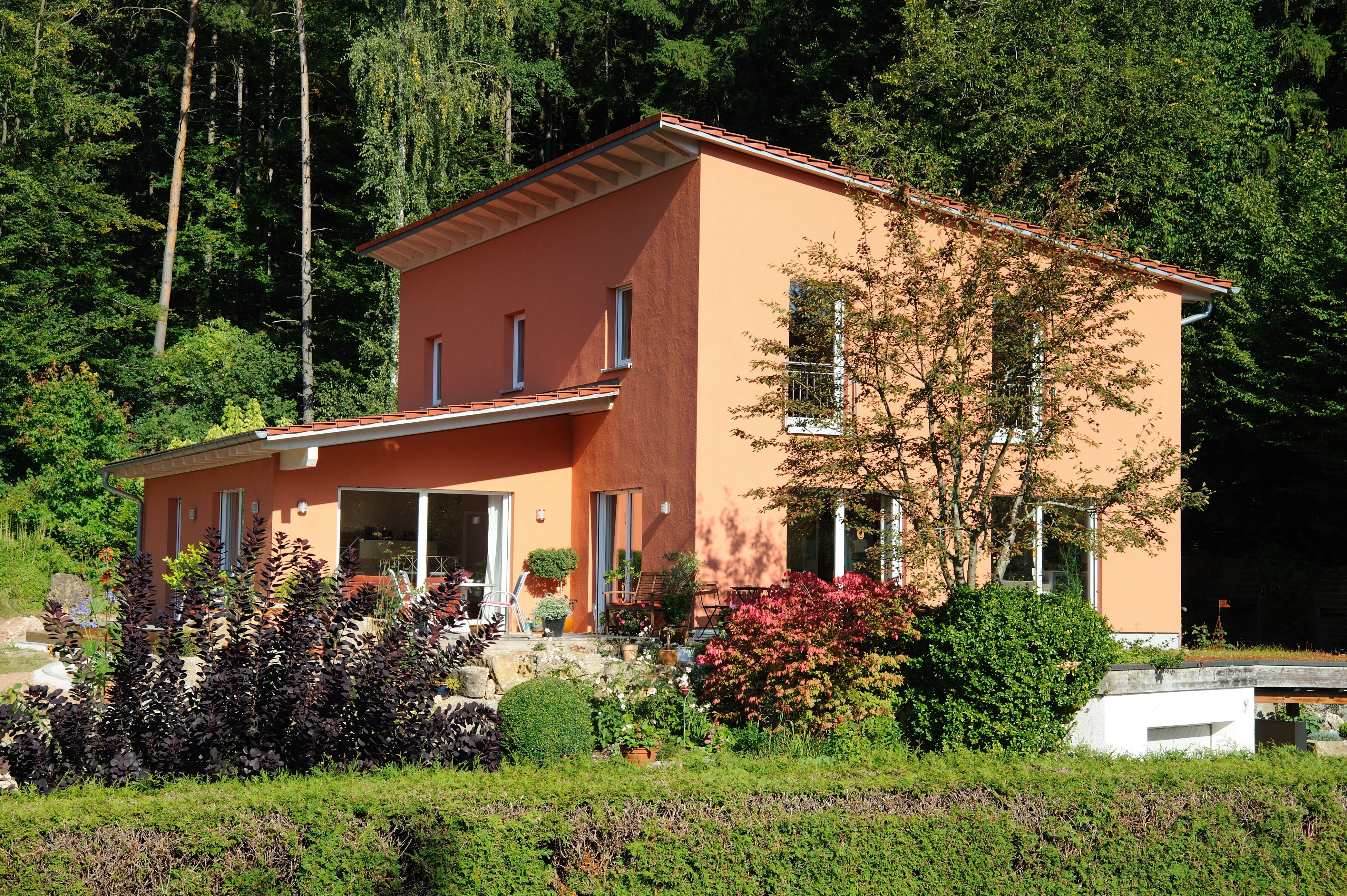 Einfamilienhaus mit Pultdach und farbiger Putzfassade am Waldrand