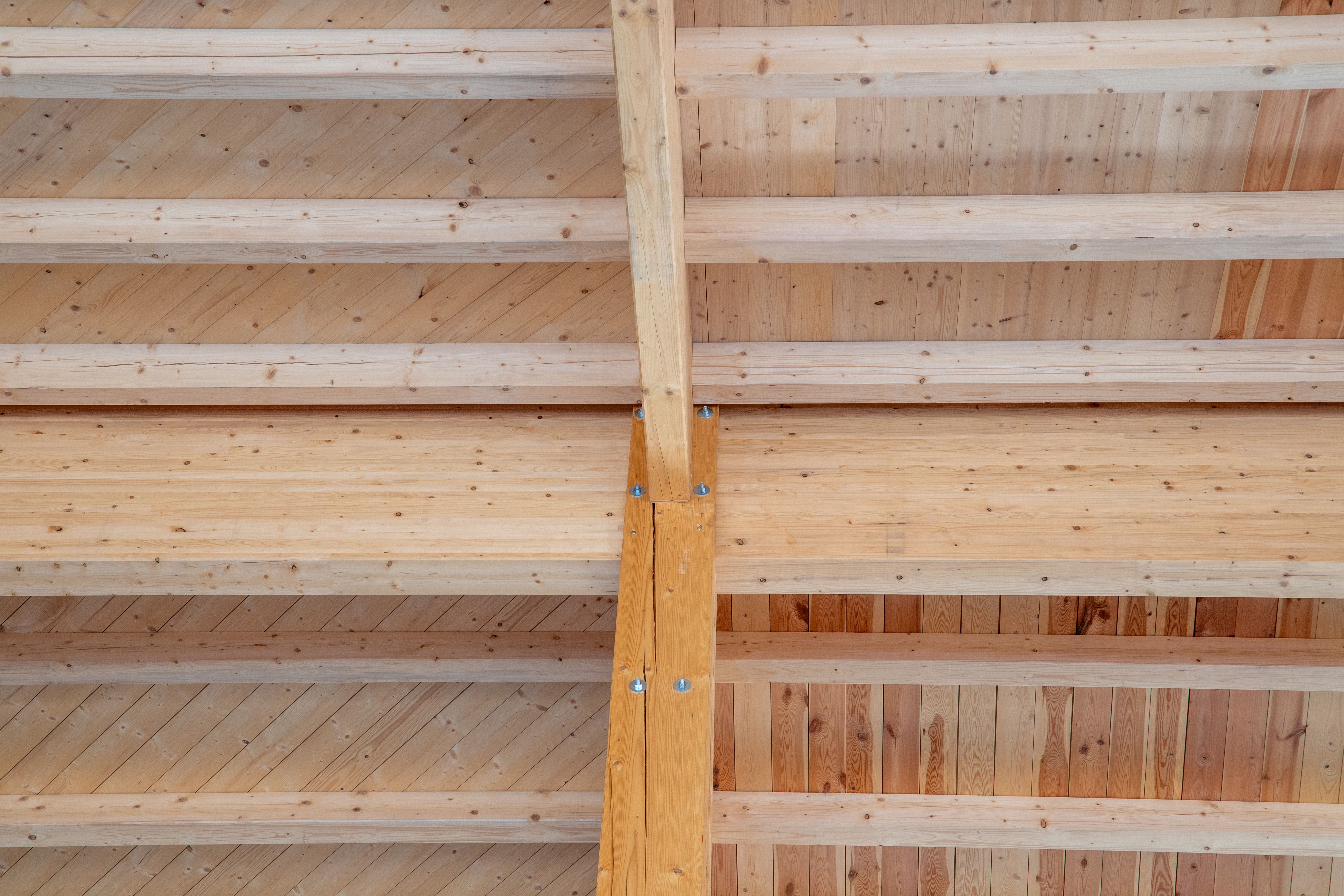 Massive Holzdachkonstruktion der Käferholzhalle in Auhausen