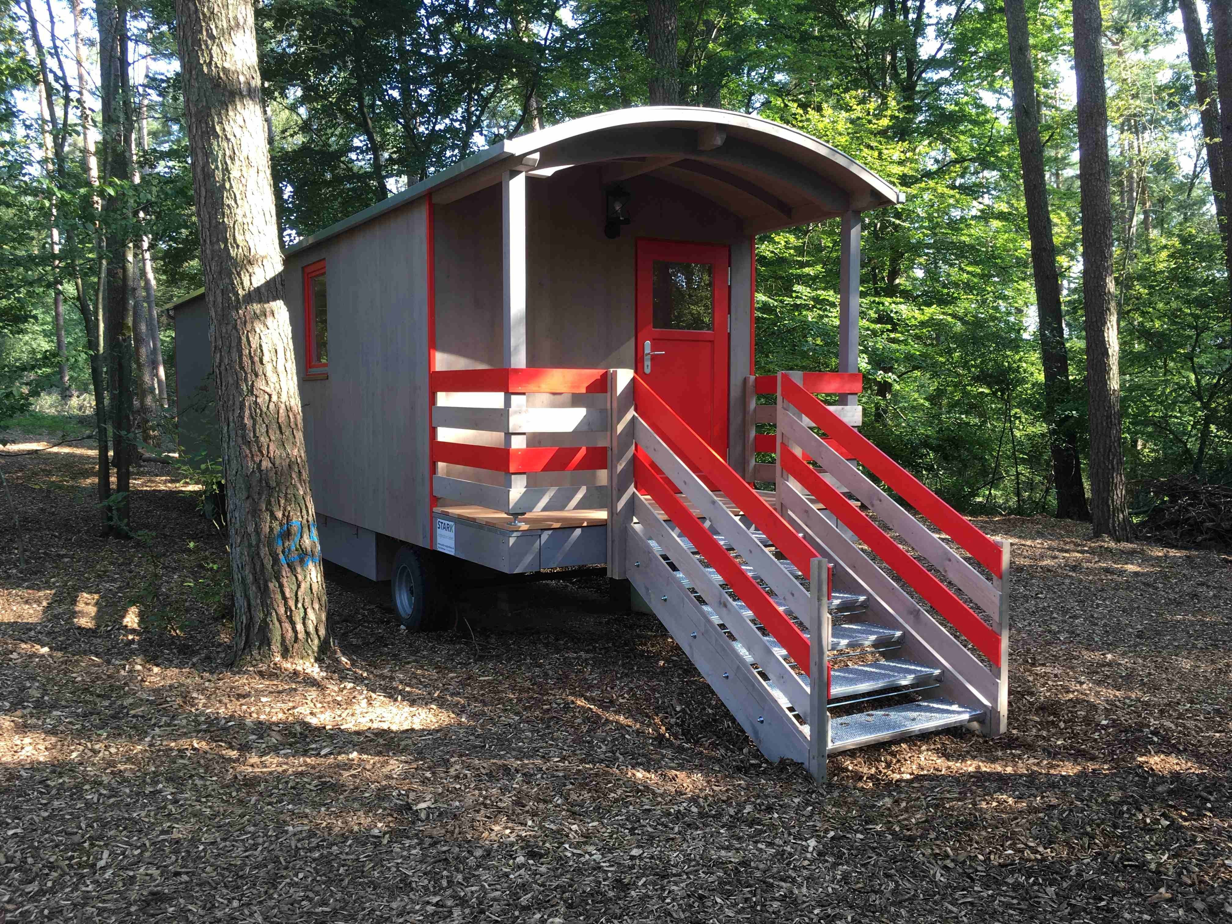 Grauer Waldkindergartenwagen mit überdachtem Eingang, roter Tür und rot-grauem Treppengeländer zwischen Kiefern im Morgenlicht
