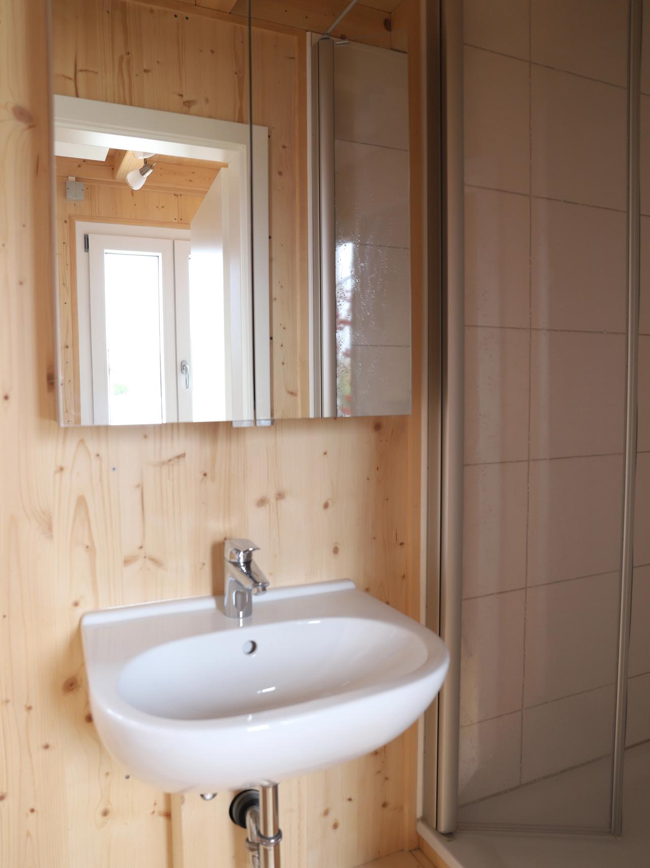 Kleines Bad mit Waschbecken, Spiegel und Fichtenholzwänden im TinyHouse