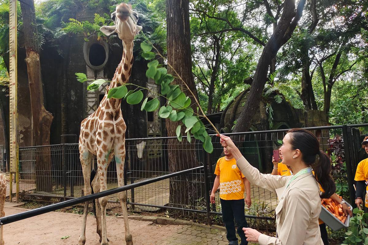 Libur Panjang Paskah, Taman Margasatwa Ragunan Dipadati 19.435 Pengunjung Siang Ini