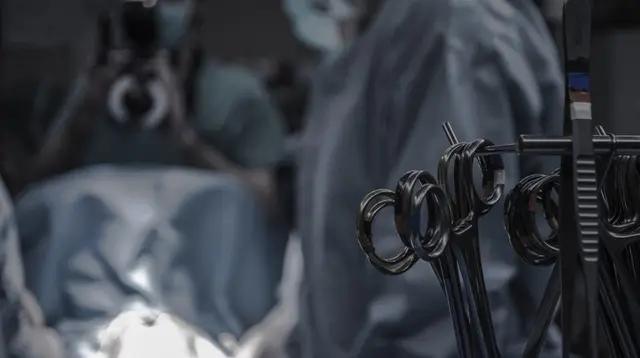 Ilmuwan China Sukses Transplantasi Paru-Paru Babi ke Manusia