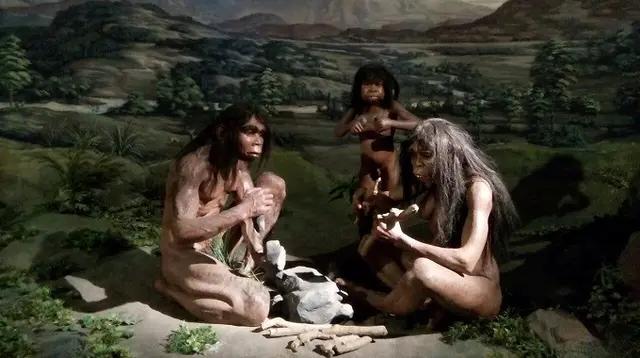 Jejak Homo Erectus di Dasar Laut Indonesia: Temuan Fosil yang Bisa Ubah Sejarah