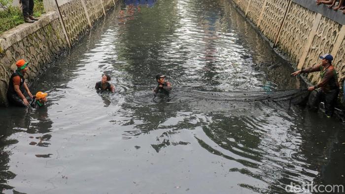 Berantas Ikan Sapu-sapu, Petugas Sisir Kali