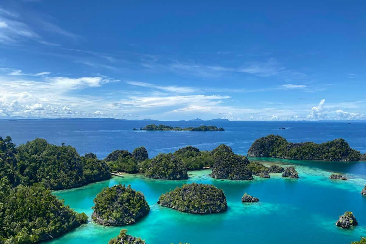 Raja Ampat: masyarakat adat kelola hutan & wisata tanpa tambang sambil meraih keuntungan. Temukan strategi lokal yang efektif