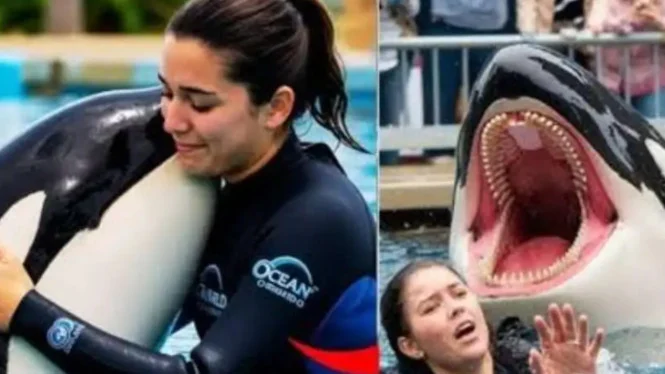 Tragedi Pelatih Orca Jessica Radcliffe: 5 Fakta Mengerikan