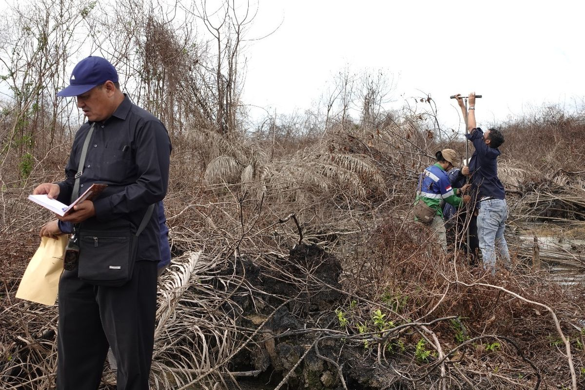 Perusahaan sawit didenda Rp 282 miliar atas kebakaran lahan yang terjadi di area konsesinya, usai putusan pengadilan yang menegaskan tanggung jawab korporasi terhadap karhutla.”