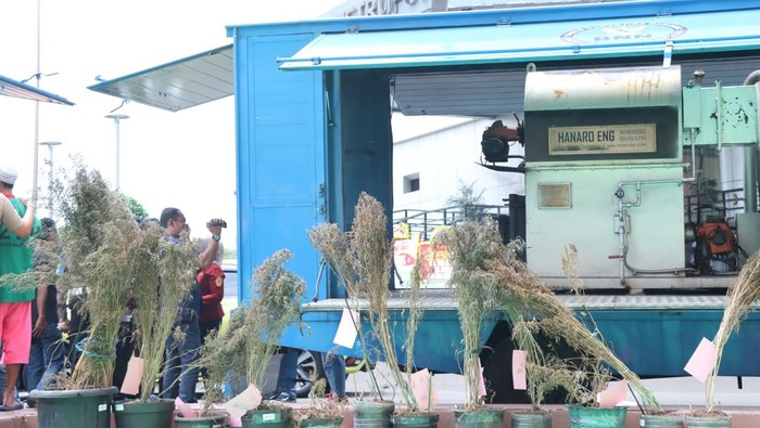 Polres Jakbar Berhasil Musnahkan Sabu dan Ganja Rp 106 Miliar