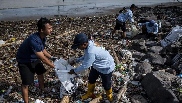 Aksi Gotong Royong Warga Tambak Lorok Bersihkan Sampah di Pesisir Pantai