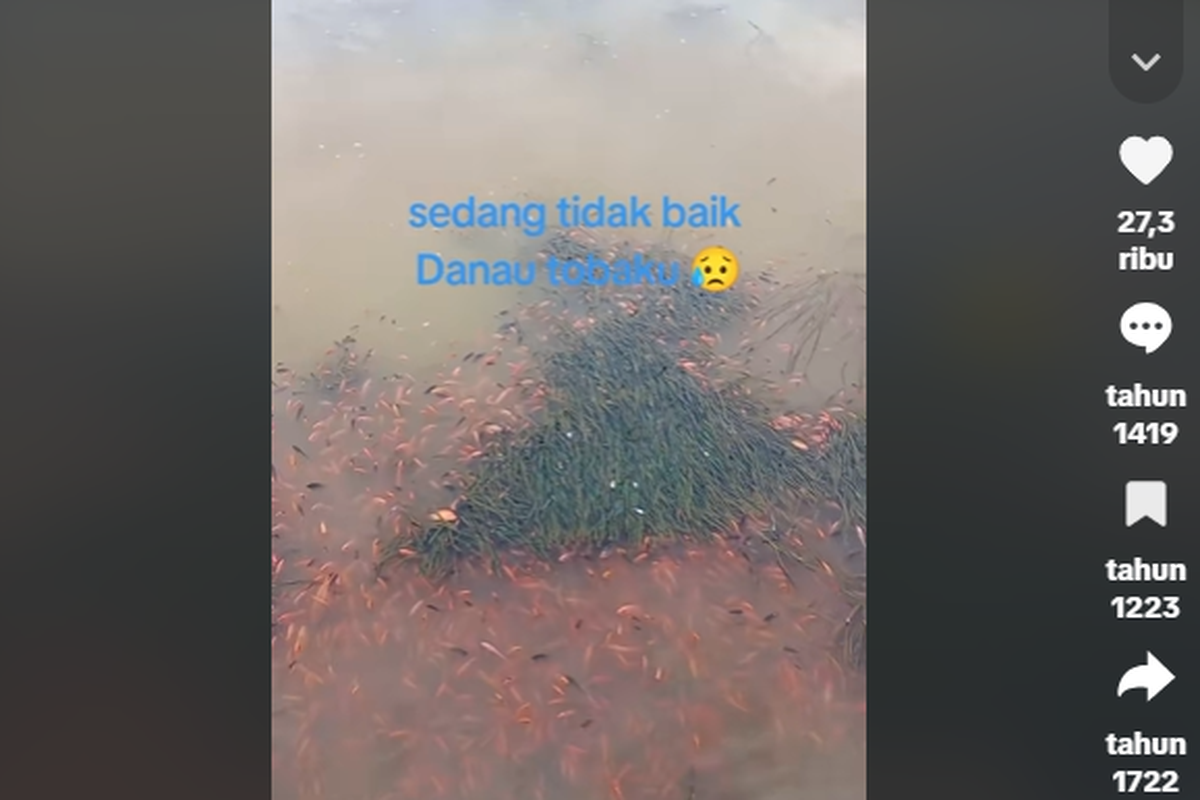 Air Danau Toba Keruh, BRIN Jelaskan Penyebabnya